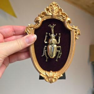 Kuoriainen tummanpunaisella sametilla nro. 2
